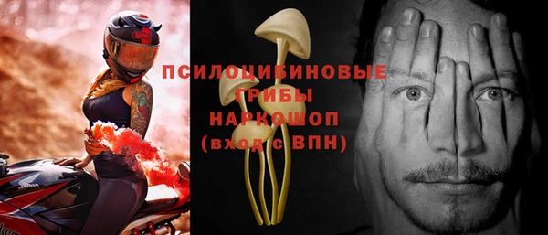 герыч Алексин