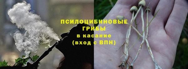 прущий лед Алексеевка