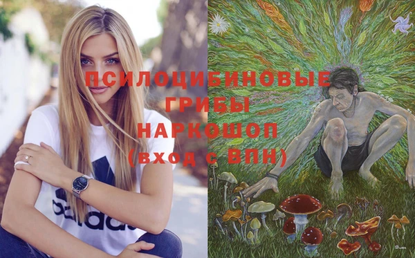 герыч Алексин