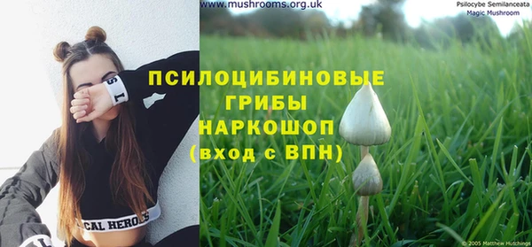 герыч Алексин