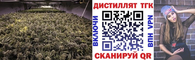 блэк спрут как войти  цена   Березники  Дистиллят ТГК концентрат 