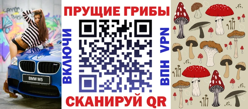 Галлюциногенные грибы Magic Shrooms  Березники 